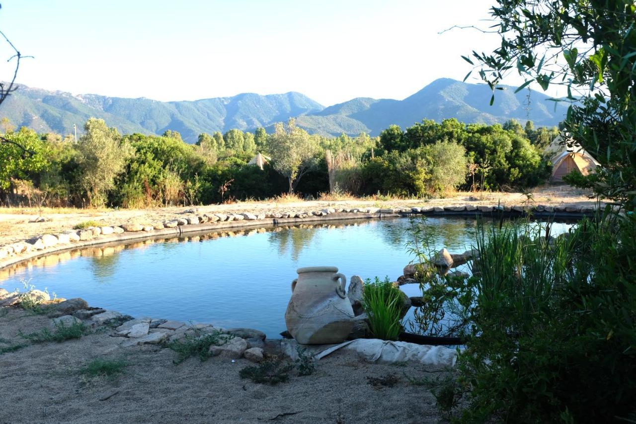 ecoVita agri-glamping San Vito  Esterno foto