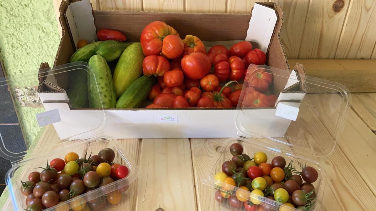 ecoVita agri-glamping San Vito  Esterno foto
