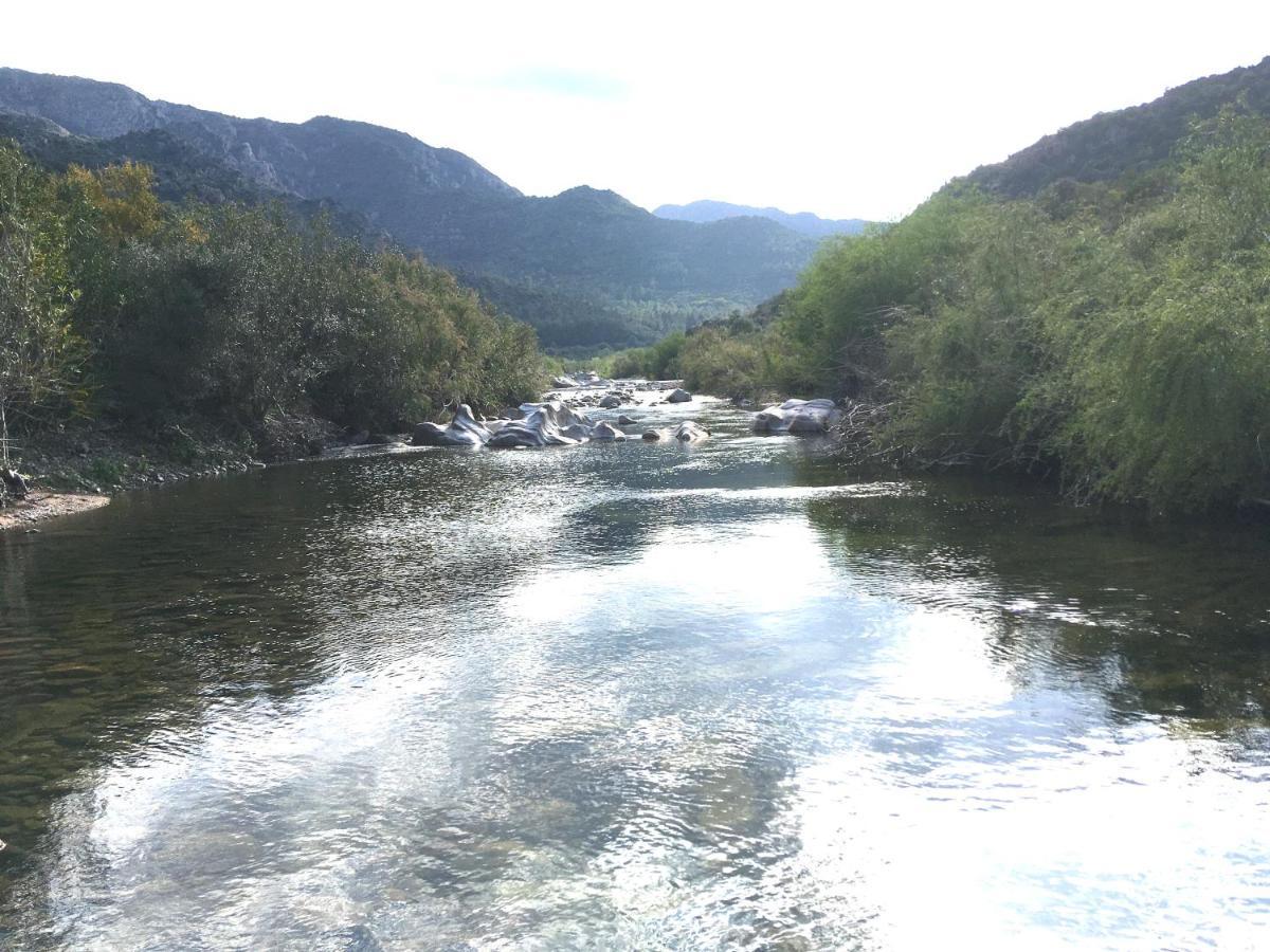 ecoVita agri-glamping San Vito  Esterno foto