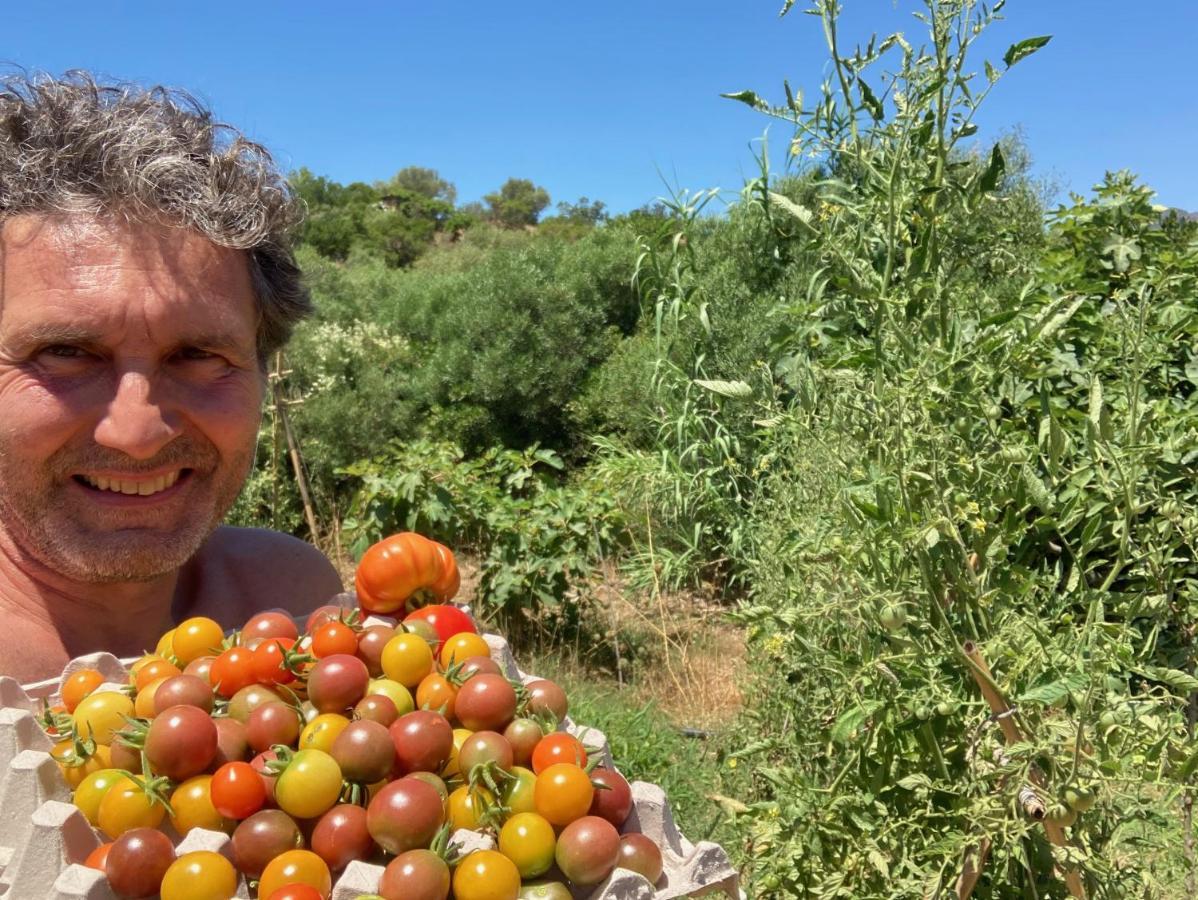 ecoVita agri-glamping San Vito  Esterno foto