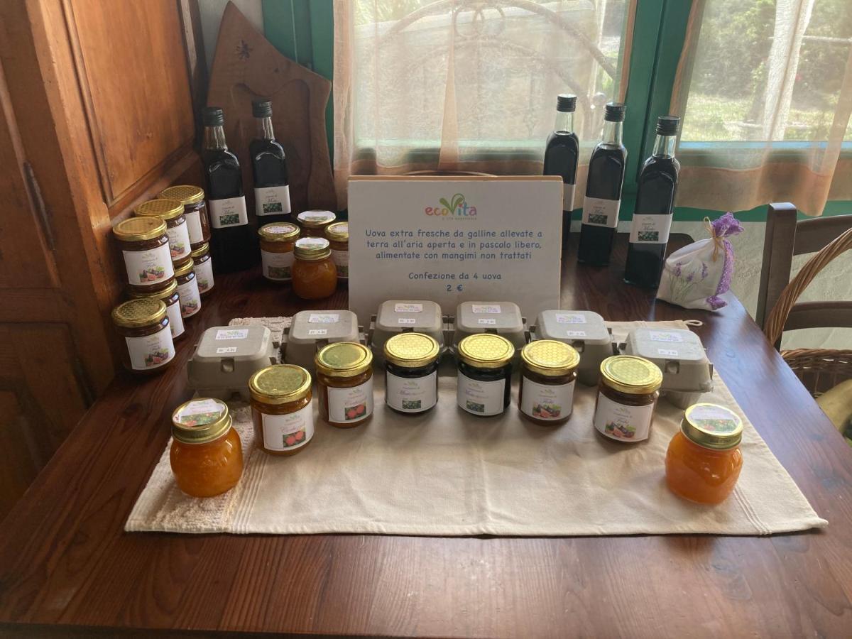 ecoVita agri-glamping San Vito  Esterno foto