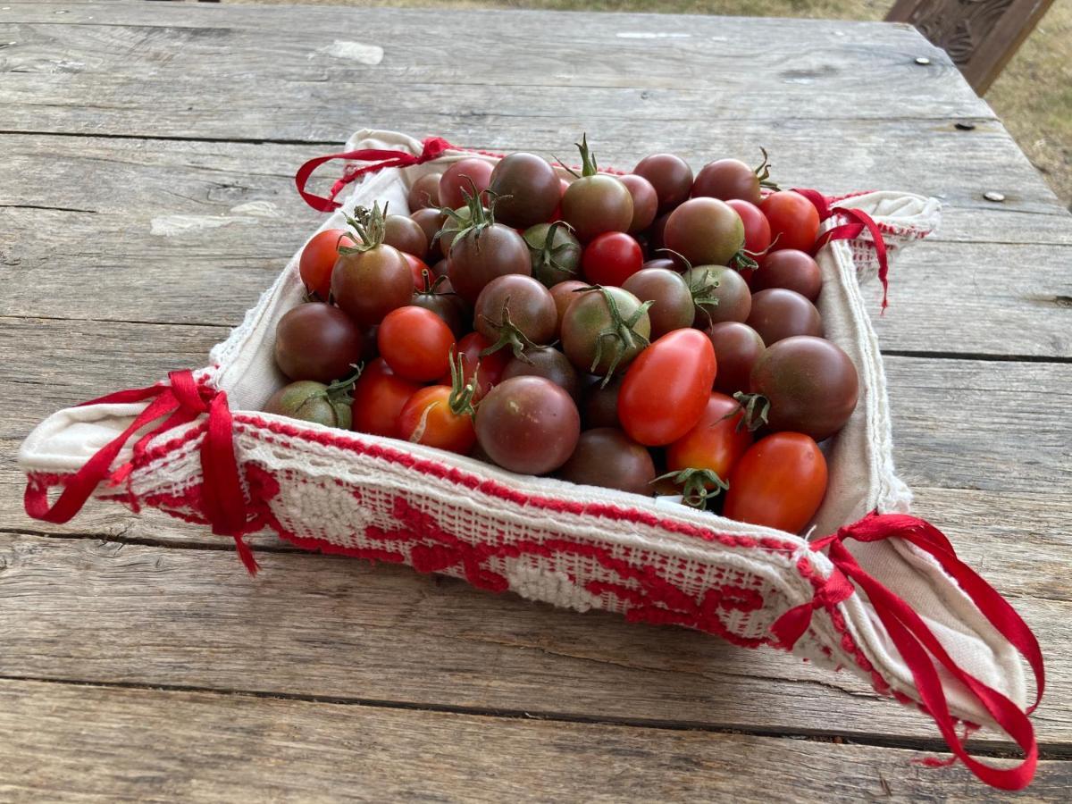 ecoVita agri-glamping San Vito  Esterno foto